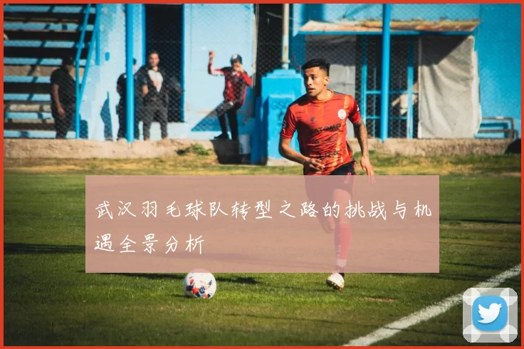 武汉羽毛球队转型之路的挑战与机遇全景分析