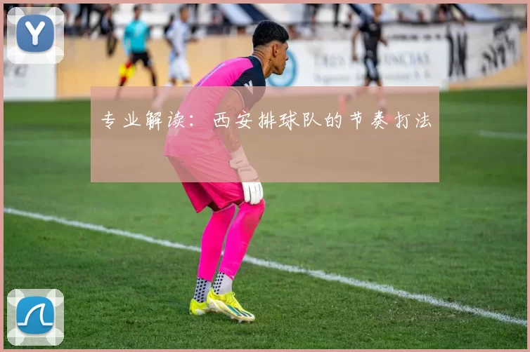 专业解读：西安排球队的节奏打法