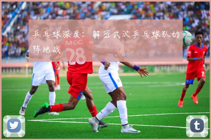 乒乓球深度：解密武汉乒乓球队的阵地战