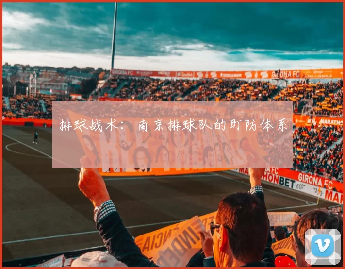 排球战术：南京排球队的盯防体系