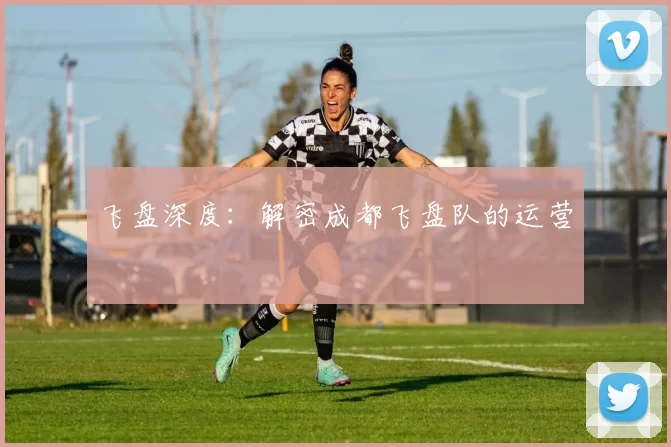 飞盘深度：解密成都飞盘队的运营